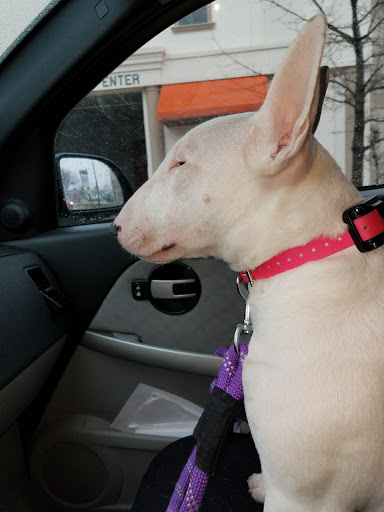 Pet Supply Store «Petco Animal Supplies», reviews and photos, 2204 Harlem Ave, North Riverside, IL 60546, USA