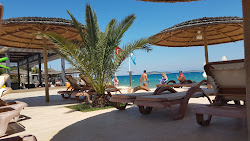 Samara Hotel Beach'in fotoğrafı otel alanı