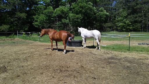 Golf Course «Champion Hill Golf Course», reviews and photos, 501 N Marshall Rd, Beulah, MI 49617, USA