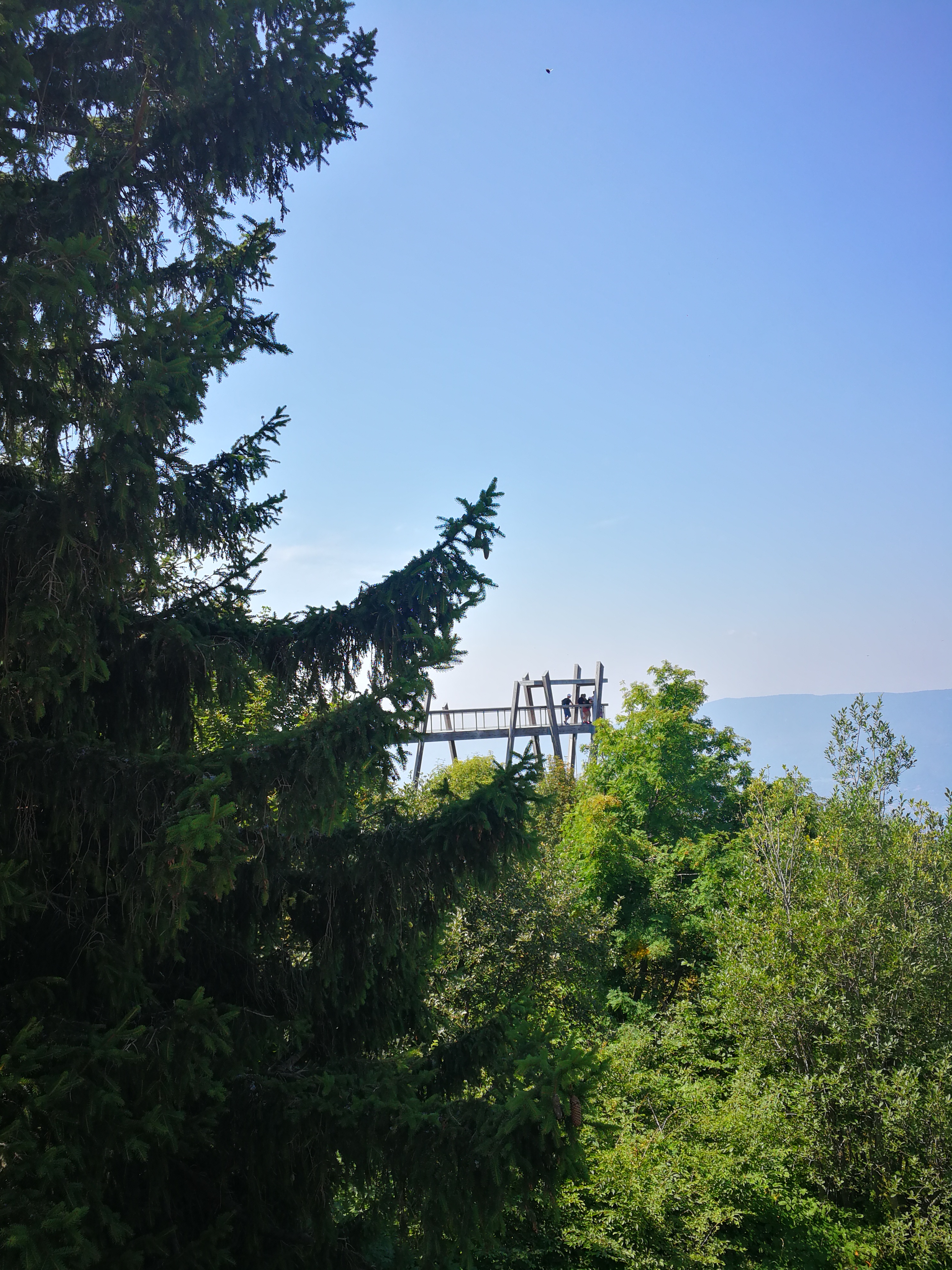 Photo n° 4 de l'avis de Alexandre.o fait le 13/08/2018 à 16:50