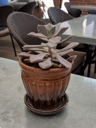 Coffee Shop «Kreuzberg Coffee Company», reviews and photos, 725 13th St, Paso Robles, CA 93446, USA