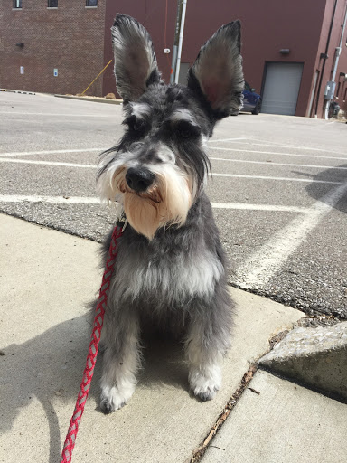 Pet Supply Store «Petco Animal Supplies», reviews and photos, 2520 E 3rd St, Bloomington, IN 47401, USA