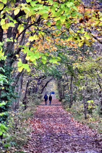 Nature Preserve «Starkey Park», reviews and photos, 667 Sugarbush Dr, Zionsville, IN 46077, USA