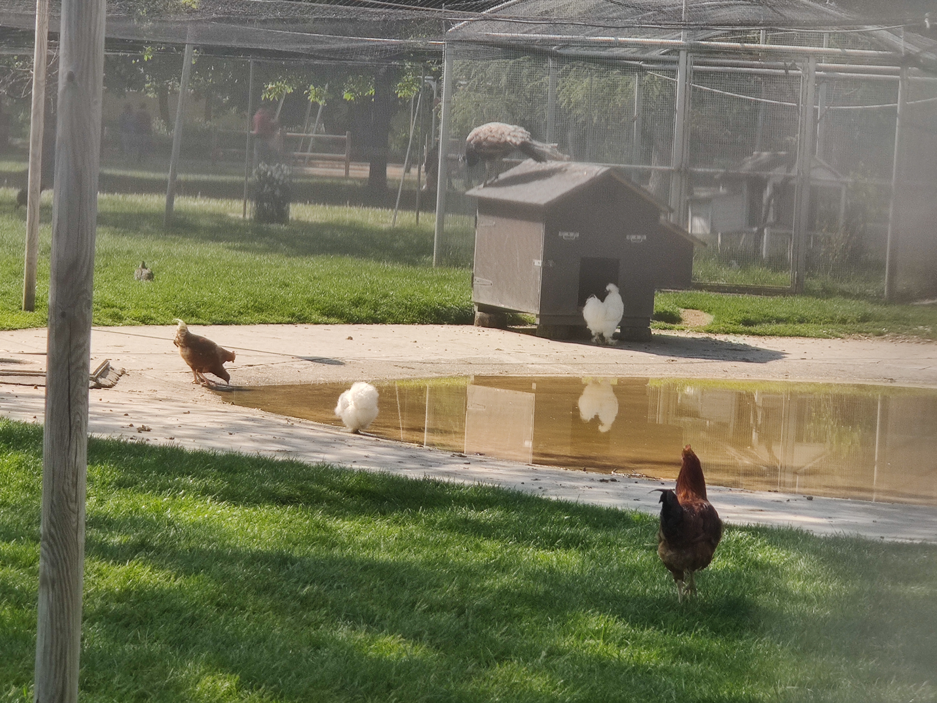 Photo n° 14 de l'avis de Carole.r fait le 01/05/2022 à 15:15