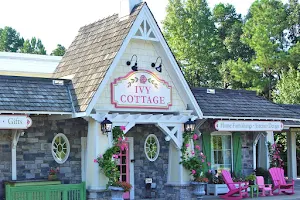 Ivy Cottage Collections, Inc. image