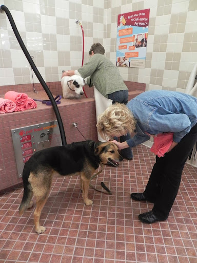 Pet Supply Store «Pet Food Express», reviews and photos, 11430 San Pablo Ave, El Cerrito, CA 94530, USA