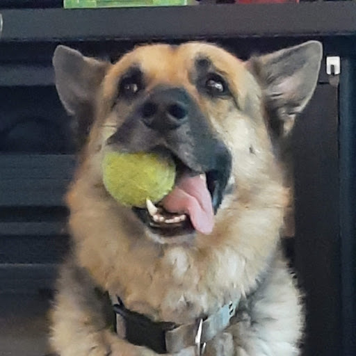 23545 FM1314, Porter, TX 77365, USA