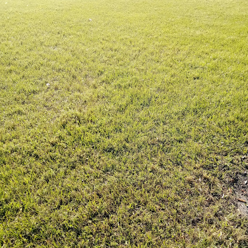 Park «Lake Stevens Park», reviews and photos, 5301 NW 183rd St, Miami Gardens, FL 33055, USA