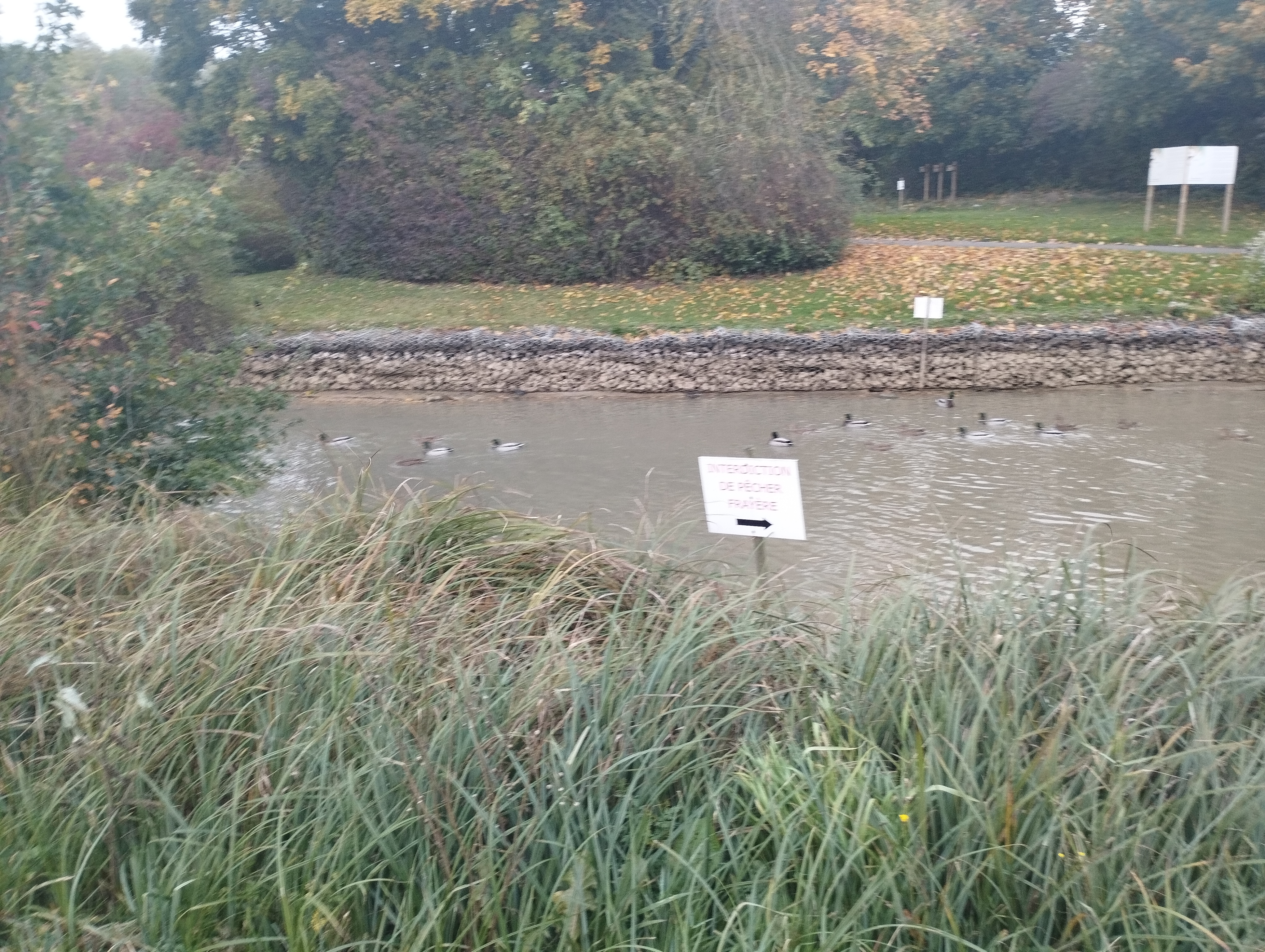 Photo n° 1 de l'avis de Marie.e fait le 09/11/2023 à 07:33