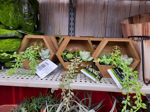 Craft Store «Michaels», reviews and photos, 697 Howe Ave, Cuyahoga Falls, OH 44221, USA