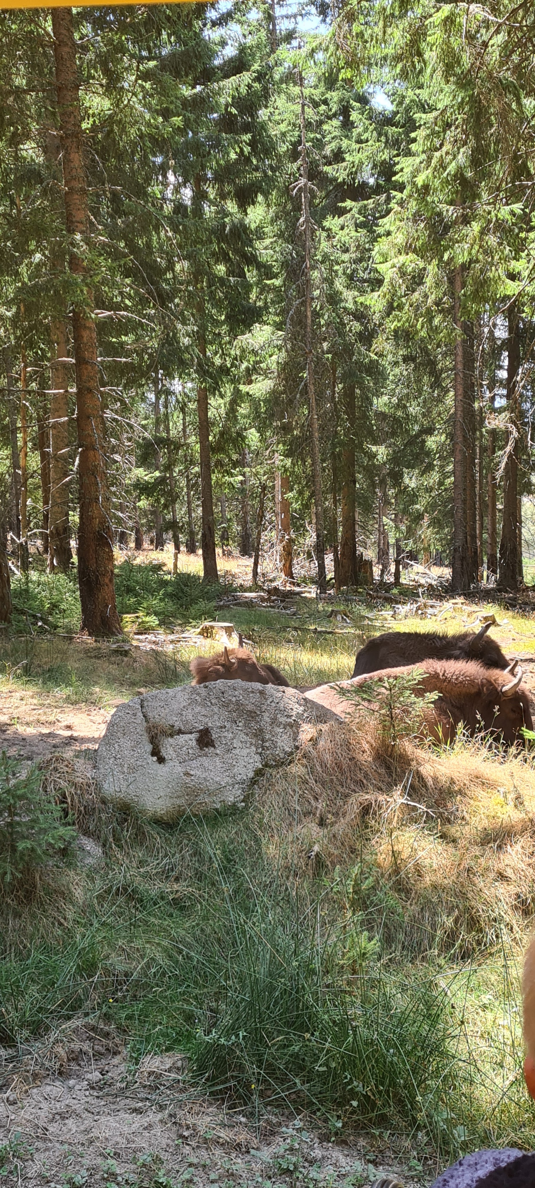 Photo n° 9 de l'avis de Marion.a fait le 05/08/2022 à 13:21