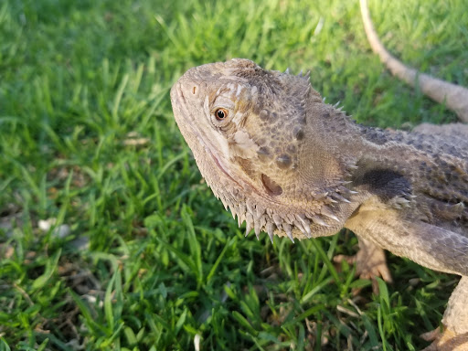 Park «Lowry Park», reviews and photos, 900 Douglas Ave, Minneapolis, MN 55403, USA