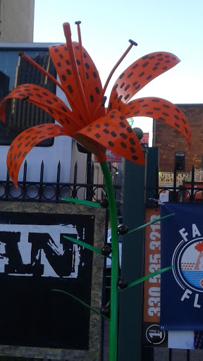 Jazz Club «BLU Jazz+», reviews and photos, 47 E Market St, Akron, OH 44308, USA