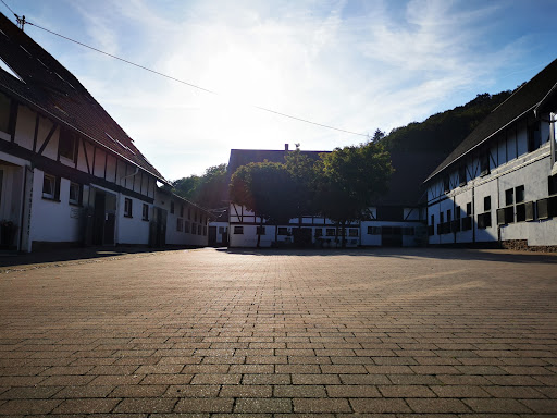 Pferdegesundheit Online - Pferdeklinik Equitales GmbH unter Waldalgesheim, 