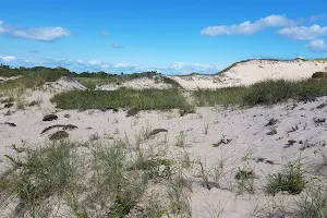 Napeague State Park image