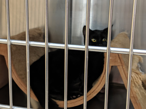 Pet Supply Store «PetSmart», reviews and photos, 3351 Jefferson Davis Hwy, Alexandria, VA 22305, USA