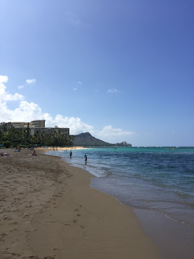 Travel Agency «Magnified Vacations CruiseOne», reviews and photos, 8516 Charleston Ct, Avon, IN 46123, USA