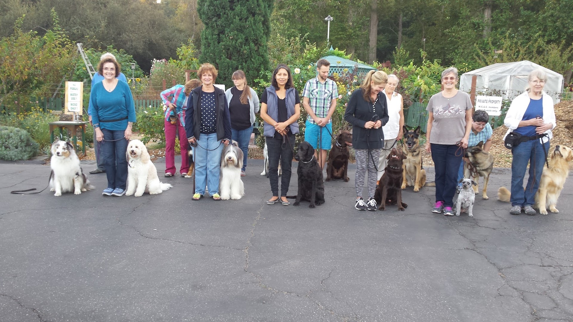 Monterey Bay Dog Training-Santa Cruz Training Classes