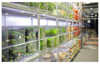 Photos du propriétaire du Saladerie Salad&Co à Villeneuve-d'Ascq - n°10