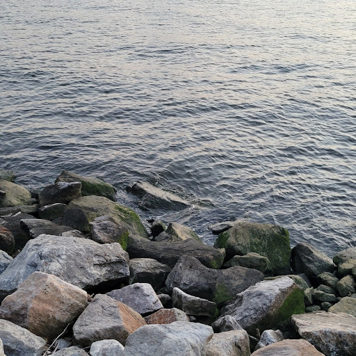 Park «Pierson Park», reviews and photos, 238 W Main St, Tarrytown, NY 10591, USA