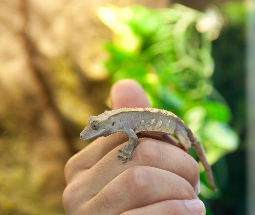 Pet Supply Store «Pet Expo Distributors», reviews and photos, 1800 Adams St, Mankato, MN 56001, USA