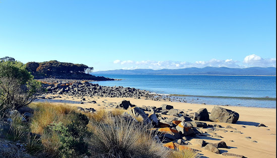 Freers Beach