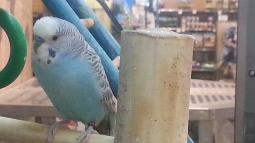 Pet Supply Store «Petco Animal Supplies», reviews and photos, 2824 Long Beach Rd, Oceanside, NY 11572, USA