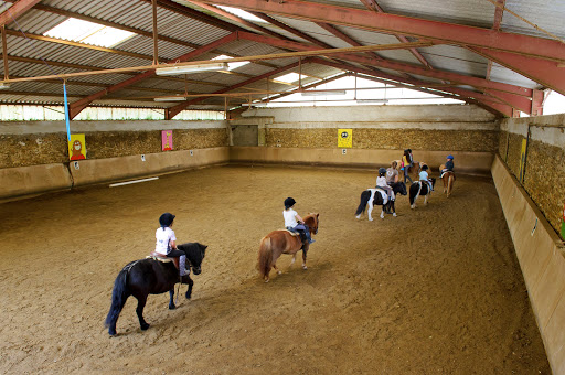 Horse riding lessons Paris