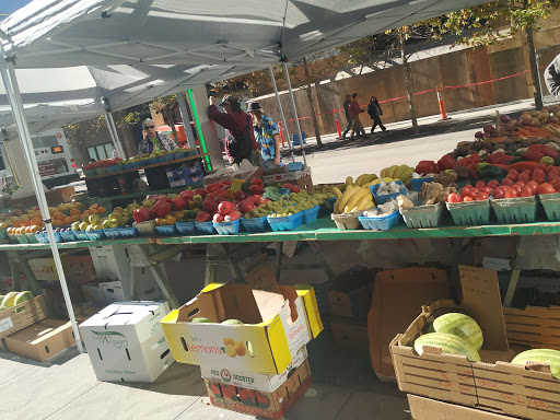 Shopping Mall «Gaviidae Common», reviews and photos, 651 Nicollet Mall #125, Minneapolis, MN 55402, USA