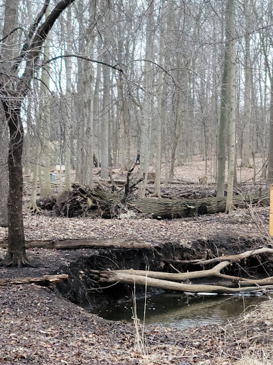Nature Preserve «Stage Nature Center», reviews and photos, 6685 Coolidge Hwy, Troy, MI 48098, USA