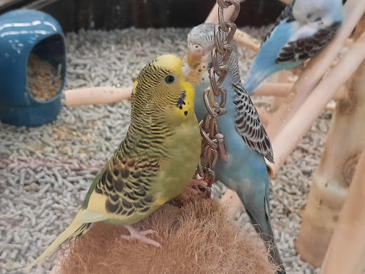 Pet Supply Store «Petco Animal Supplies», reviews and photos, 753 53rd Ave NE, Fridley, MN 55421, USA