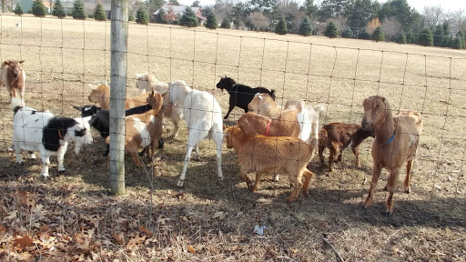 Commercial Printer «LSC Communications», reviews and photos, 2801 W Old Rd 30, Warsaw, IN 46580, USA