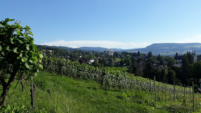 Quergut, Schlossberg