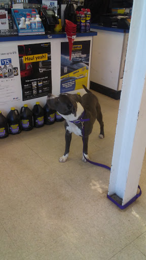 Auto Parts Store «Salvo Auto Parts», reviews and photos, 14 Back River Neck Rd, Essex, MD 21221, USA