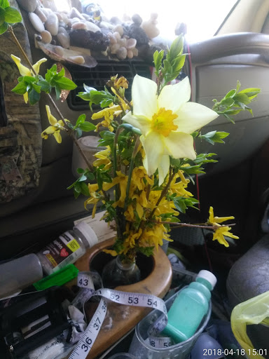 Nature Preserve «Maurice River Bluffs Preserve», reviews and photos, Silver Run Rd, Millville, NJ 08332, USA