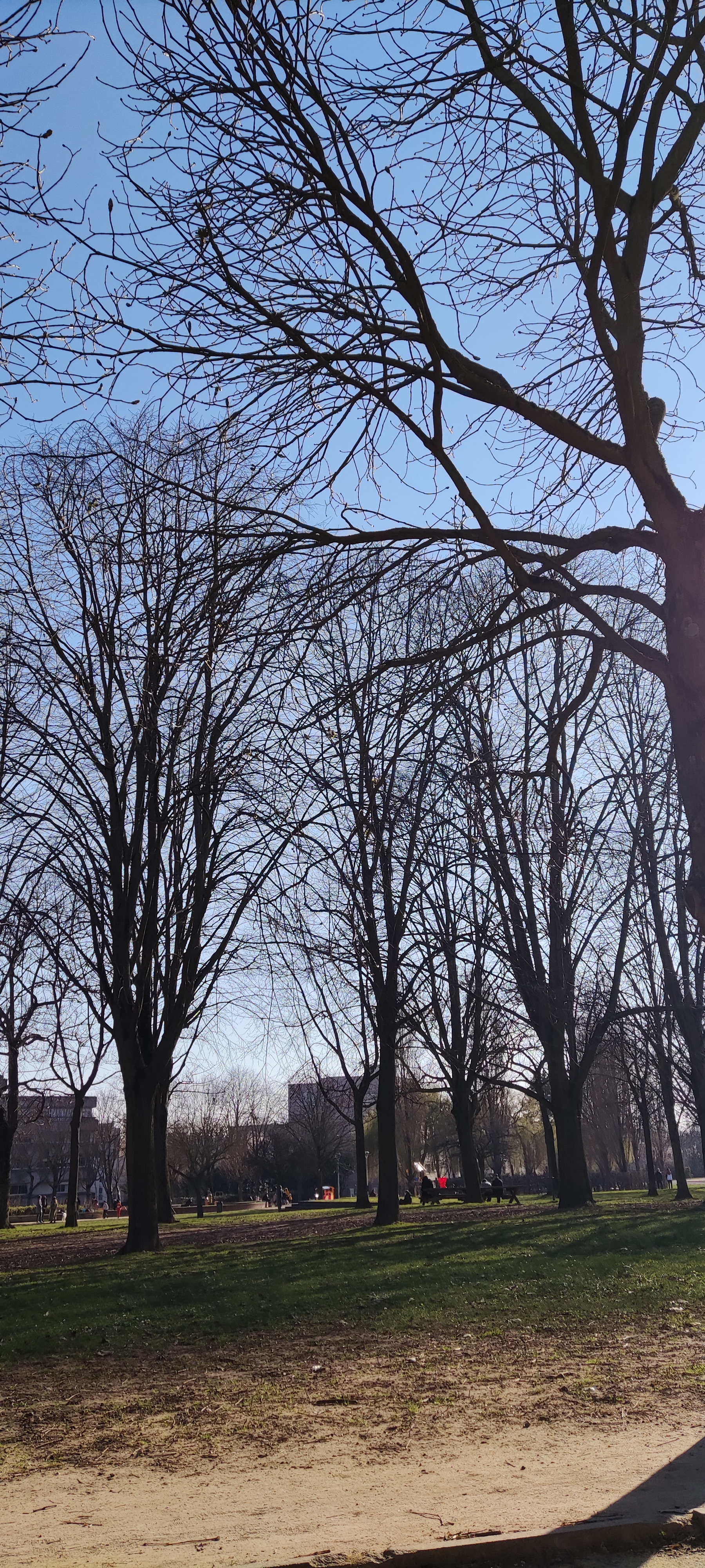 Photo n° 2 de l'avis de Francoise.o fait le 07/03/2021 à 16:48