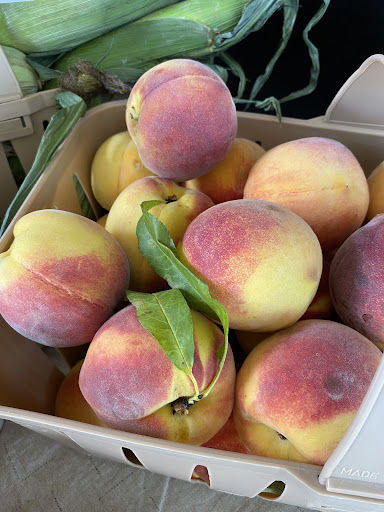 Vineyard «Martin Vineyards», reviews and photos, 213 Martin Farm Ln, Knotts Island, NC 27950, USA