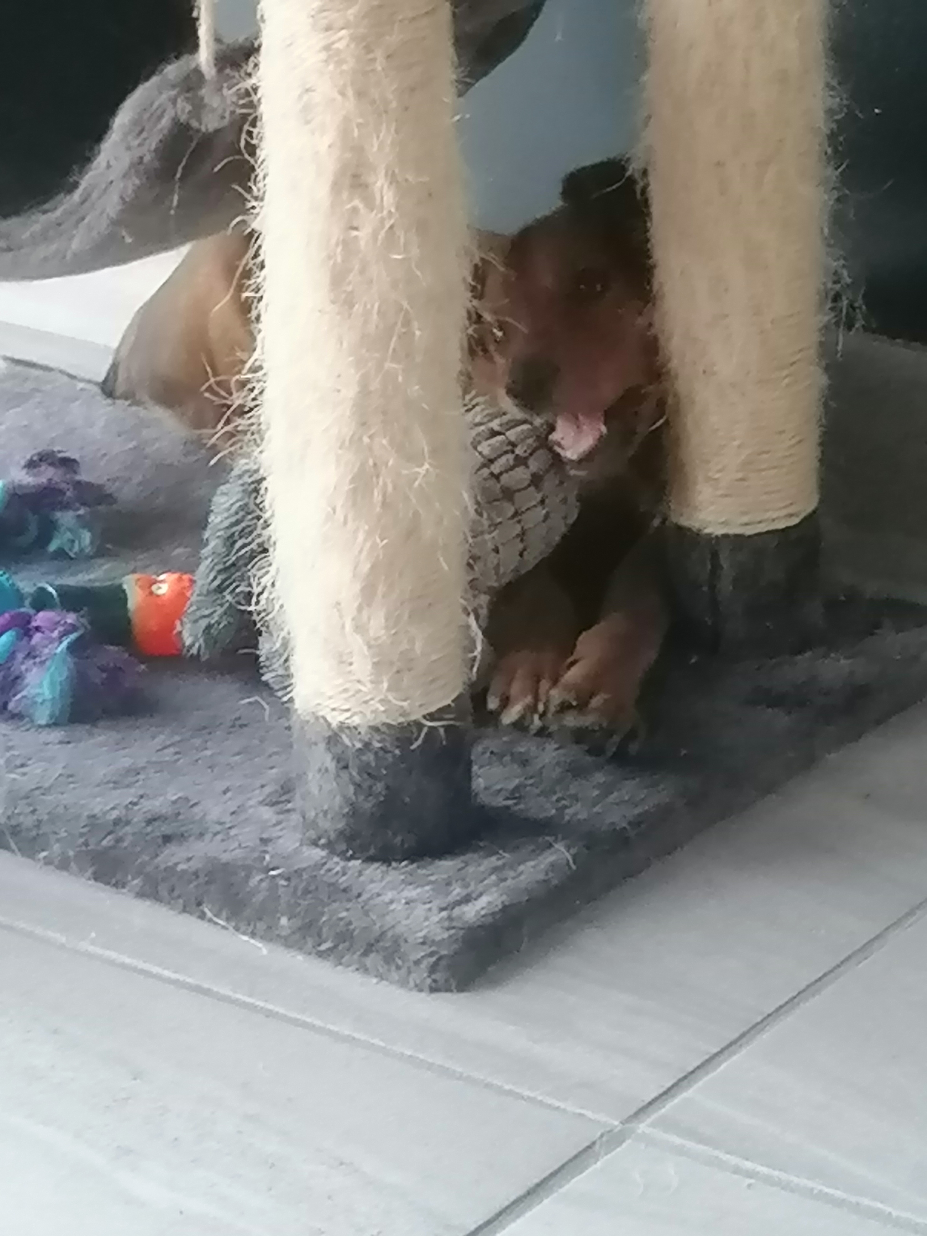 Photo n° 1 de l'avis de céline.o fait le 23/10/2021 à 19:14