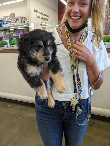 Pet Supply Store «Pet Supplies Plus», reviews and photos, 1155 Washington Pike, Bridgeville, PA 15017, USA