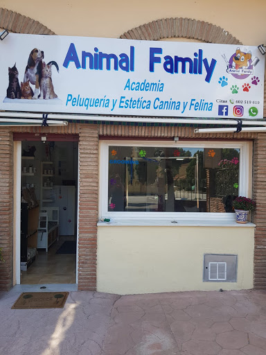 Top Dog Groomers Peluqueria Canina (antes Perro Ve - C. Molino Viento, 3, 29640 Fuengirola, Málaga, España