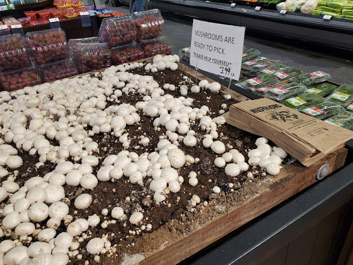 Grocery Store «Quality Food Center», reviews and photos, 211 Parkplace Center, Kirkland, WA 98033, USA