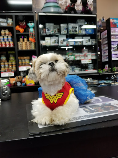 Pet Supply Store «Pet Valu», reviews and photos, 74 Pershing Dr, Derby, CT 06418, USA