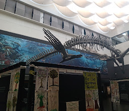 Café Punta Del Cielo photo