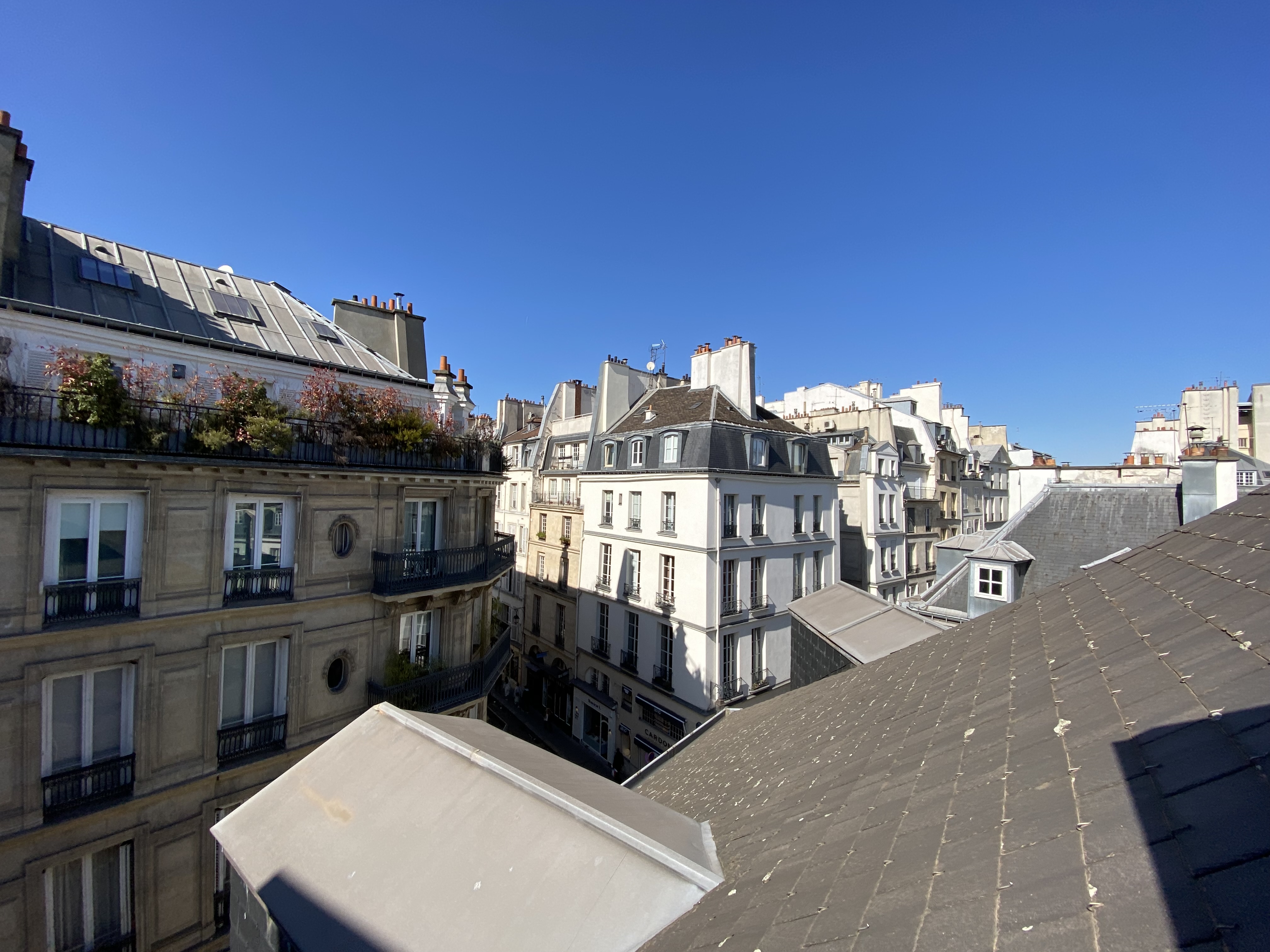 Photo n° 1 de l'avis de Godehard. fait le 20/03/2022 à 18:28
