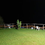 Photo n°4 de l'avis de Nico.a fait le 14/08/2018 à 20:24 sur le  Mare Pulito à Crotone