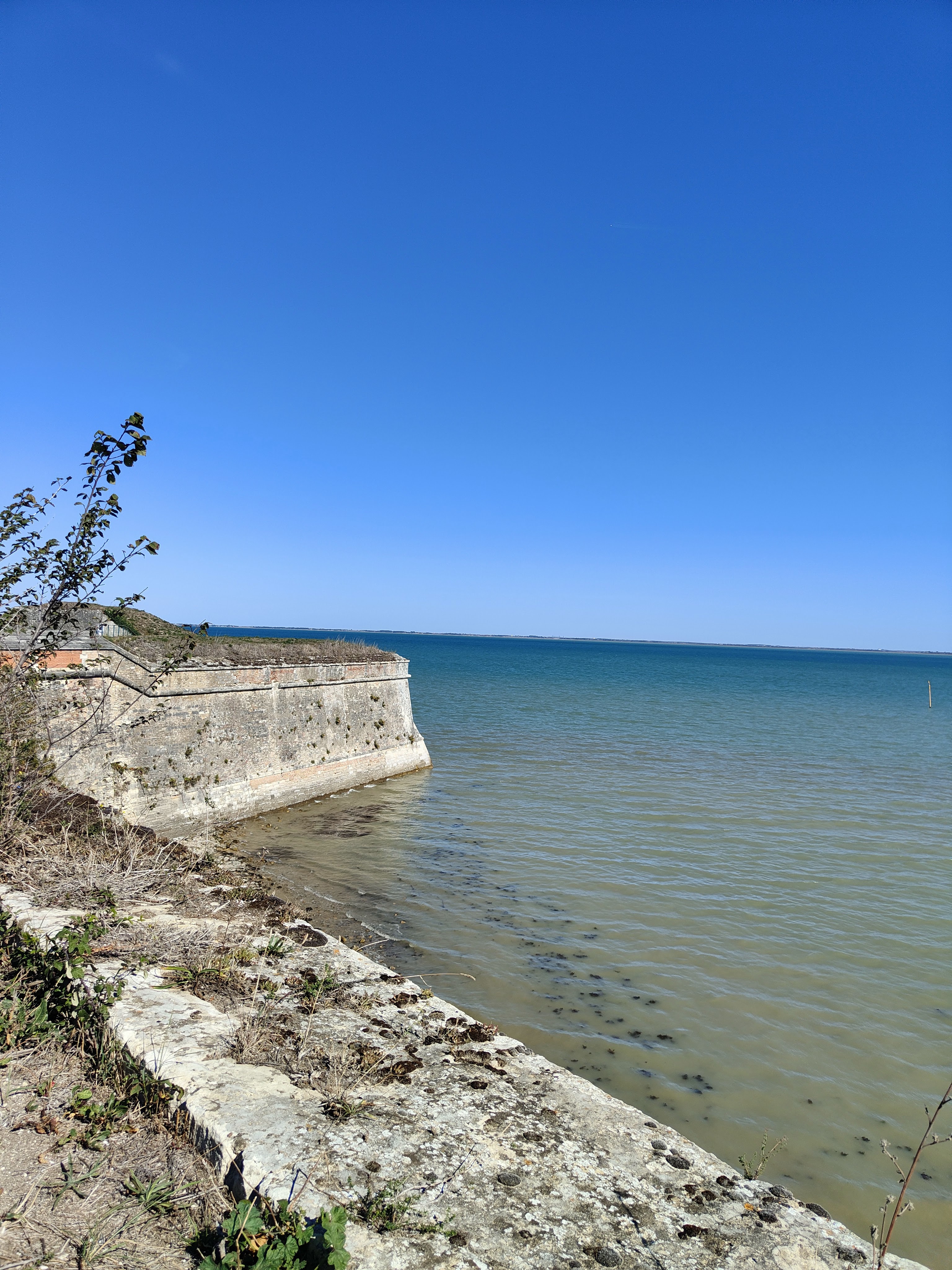 Photo n° 9 de l'avis de Frédéric.F fait le 22/09/2022 à 14:49
