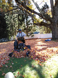 MG Landscaping - Photo 5 - Car repair in Lynn, MA, Lynn