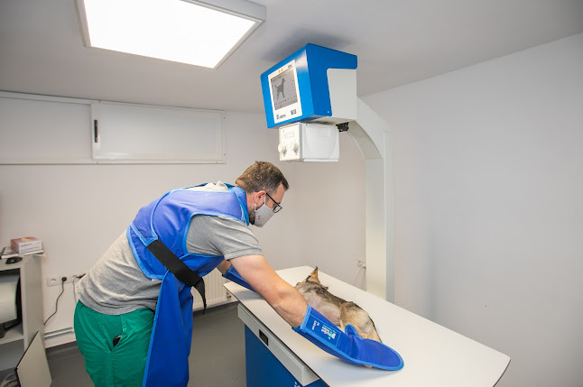 Clinica Veterinară Exclusive Vets Sibiu - Veterinar