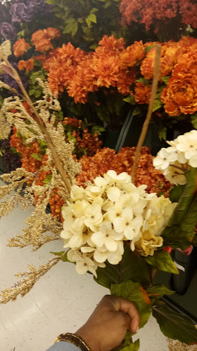 Craft Store «Hobby Lobby», reviews and photos, 5622 Johnston St #200, Lafayette, LA 70503, USA