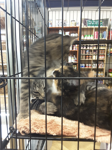 Pet Supply Store «Dogma Bakery», reviews and photos, 2772 S Arlington Mill Dr, Arlington, VA 22206, USA